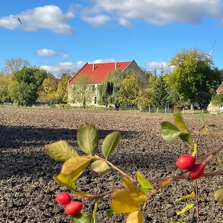 Schafstall - Nah An Erfurt Und Weimar アパート Wundersleben